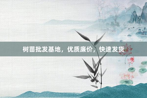 树苗批发基地，优质廉价，快速发货