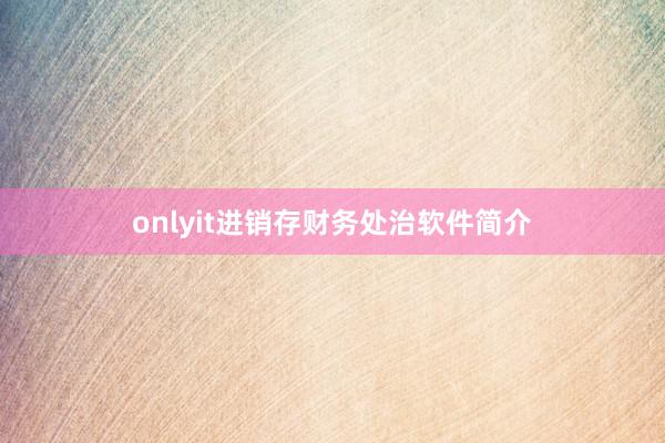 onlyit进销存财务处治软件简介