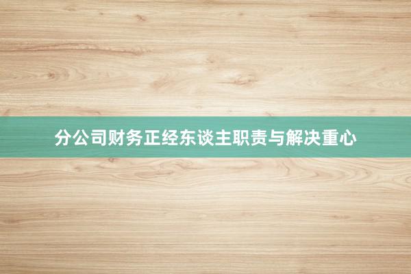 分公司财务正经东谈主职责与解决重心